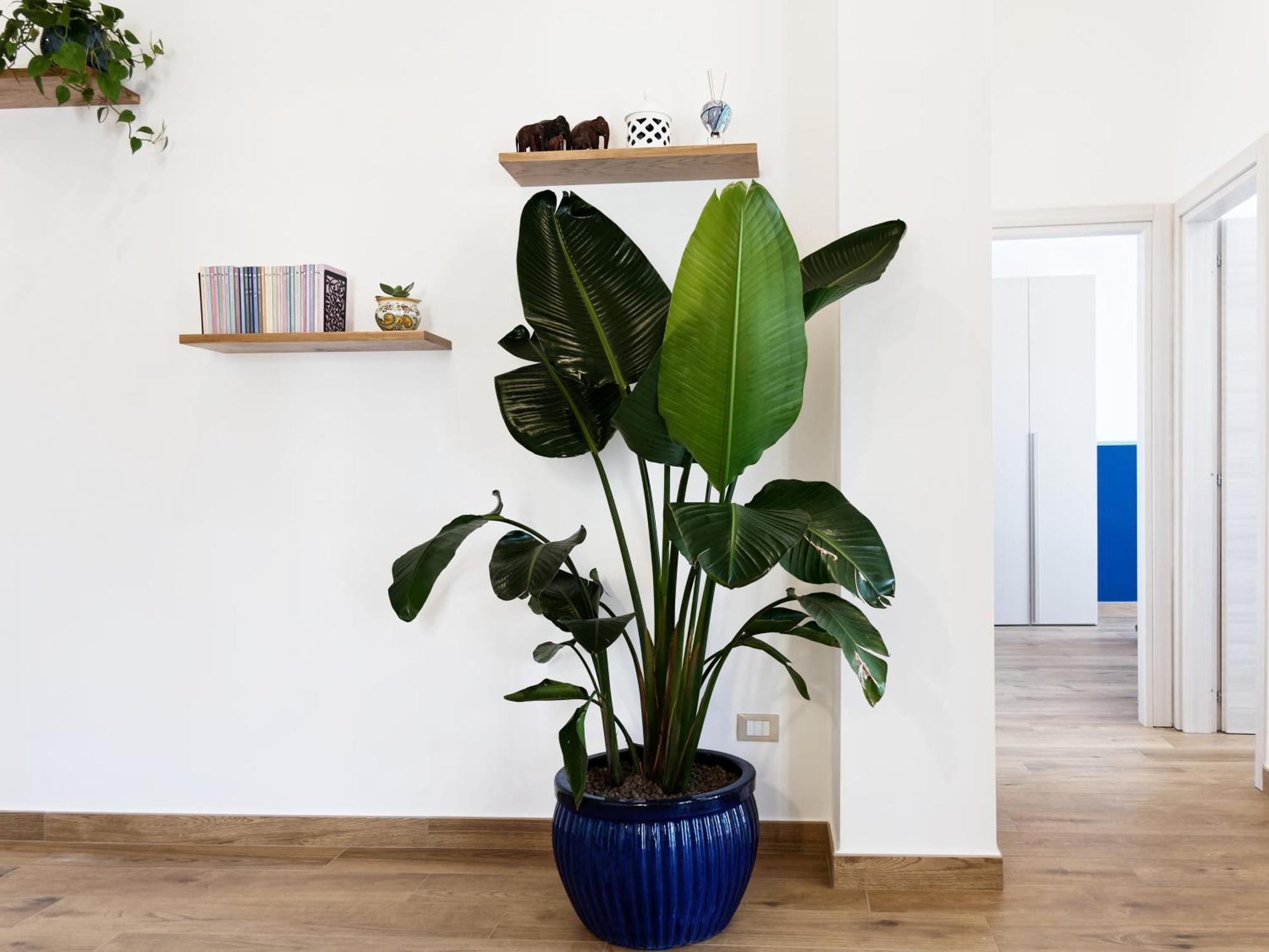 Susanna Boutique Home Вико Екуензе Екстериор снимка