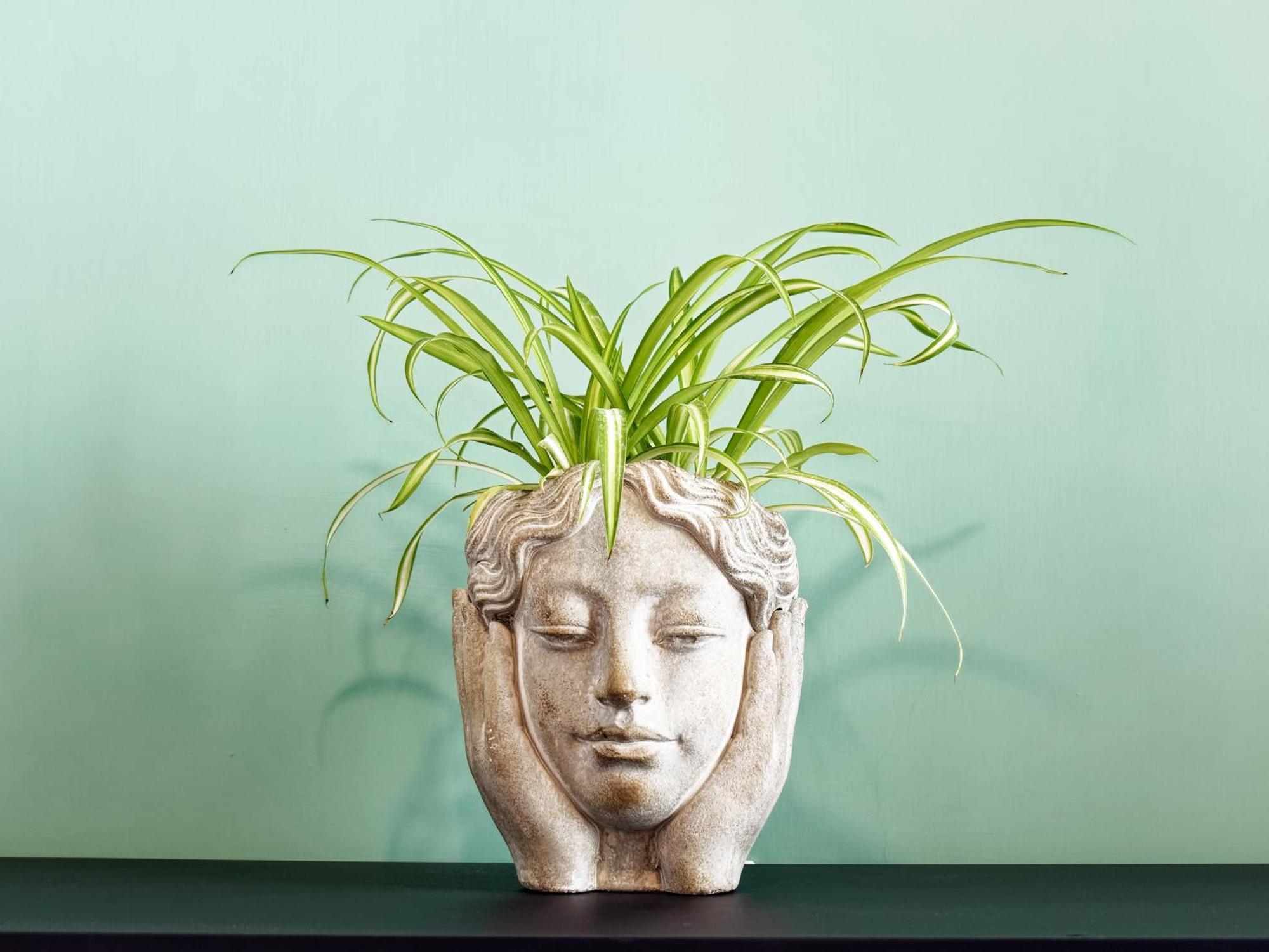 Susanna Boutique Home Вико Екуензе Екстериор снимка