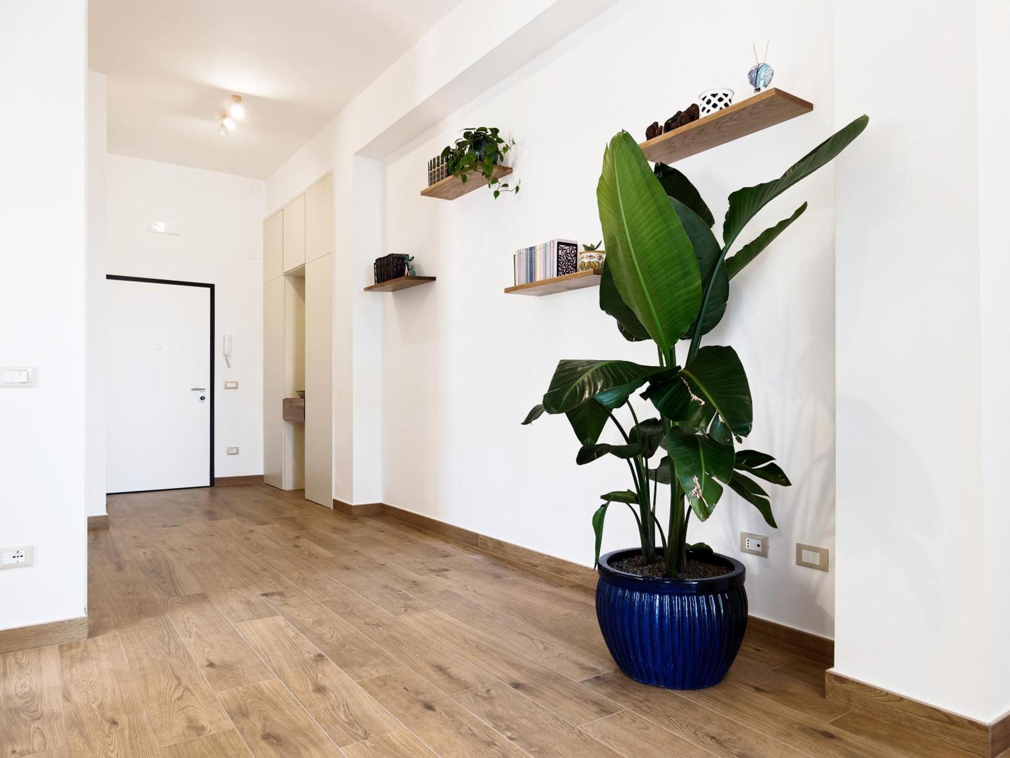 Susanna Boutique Home Вико Екуензе Екстериор снимка