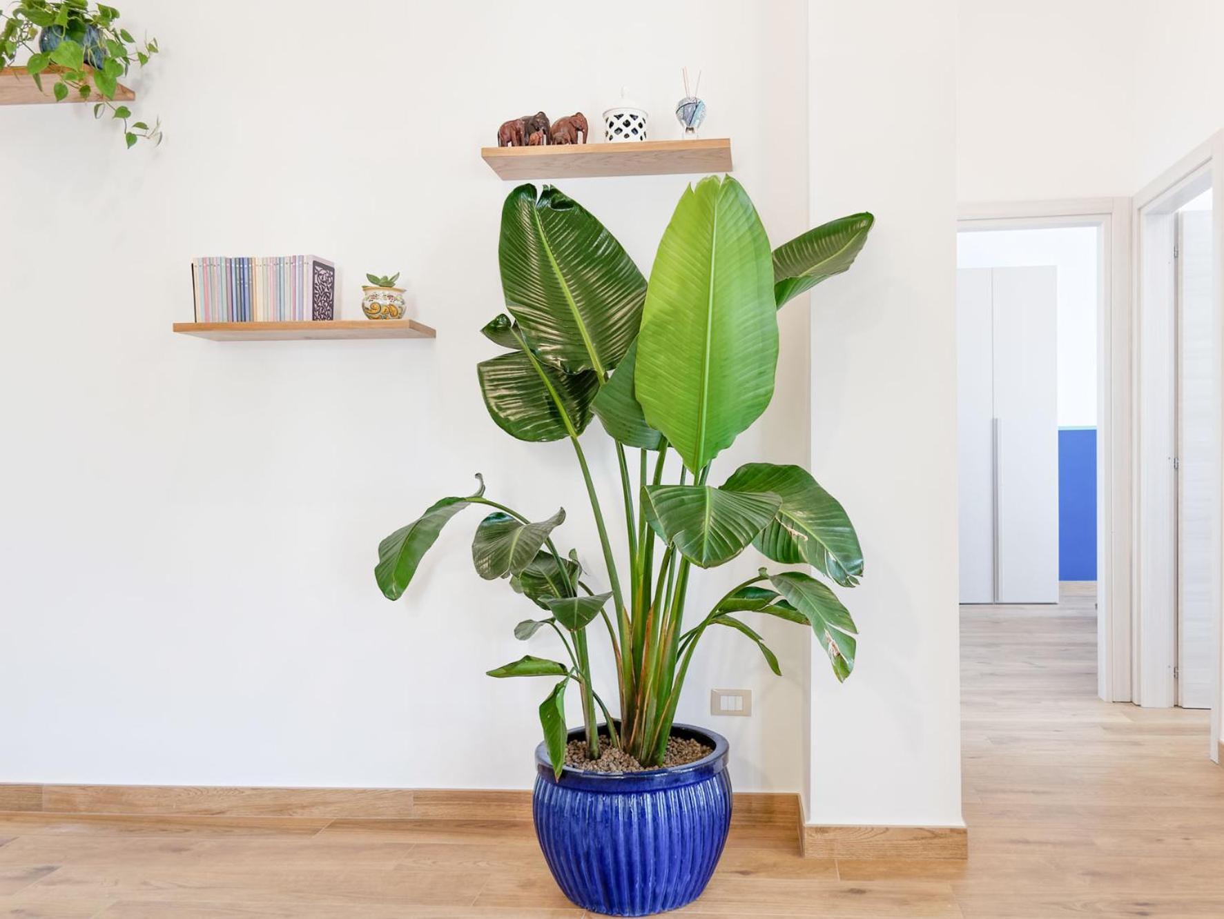 Susanna Boutique Home Вико Екуензе Екстериор снимка
